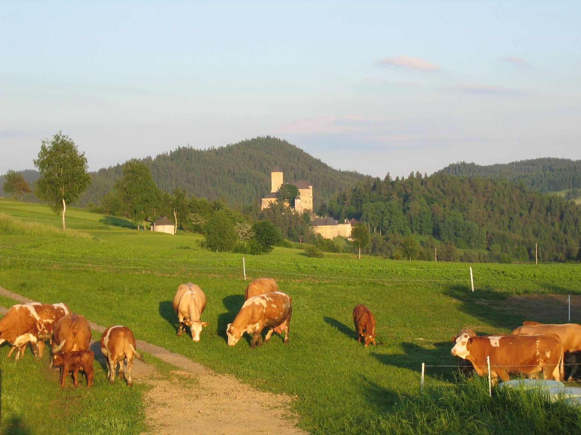 Ferienhof Stanzl Rappottenstein Buitenkant foto