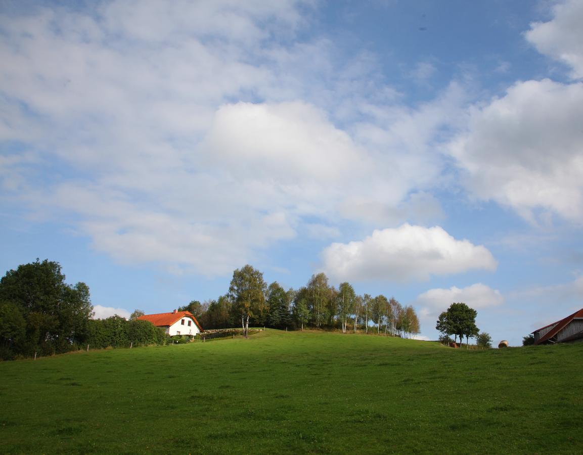 Ferienhof Stanzl Rappottenstein Buitenkant foto