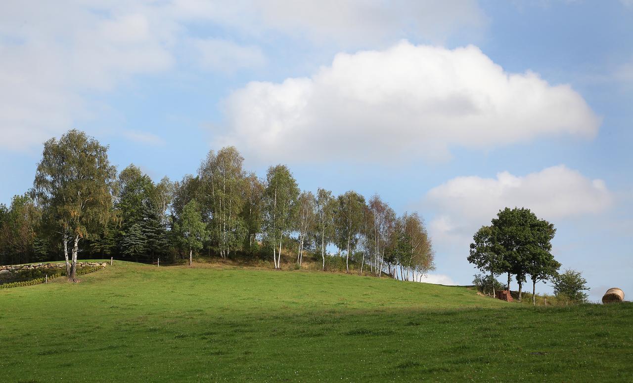 Ferienhof Stanzl Rappottenstein Buitenkant foto